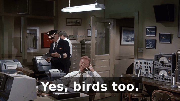 e0522f0d-b088-4dd6-af4d-8cdb9b234603.gif