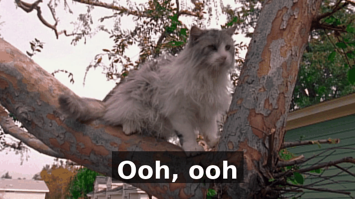 cb165fd9-2254-4b8c-be0f-71ae27dc90f2.gif