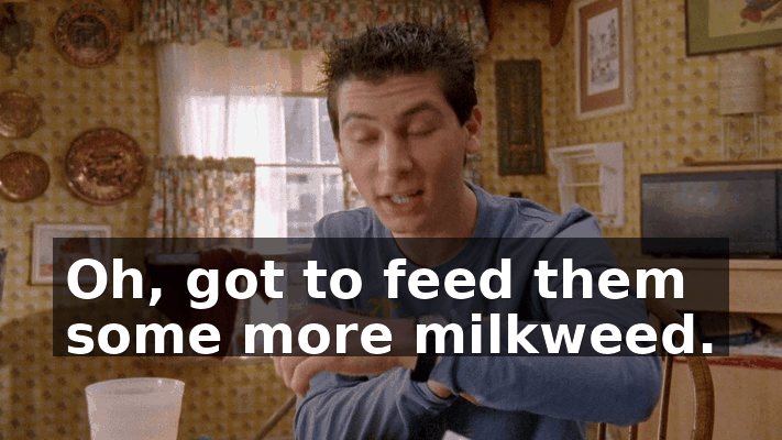 0406c3fe-8455-4764-aac9-c07a66c09c67.gif