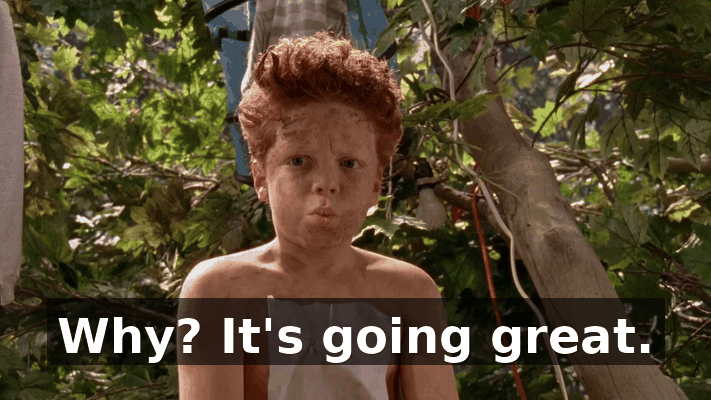 58b731e8-9e38-4856-853e-b373e45e6584.gif