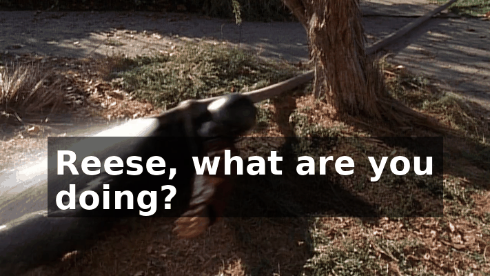edde6c5b-d979-43c9-b1ee-365153aa1219.gif