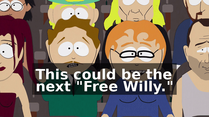 4285339c-2790-4b7e-ac31-23f5a5660451.gif