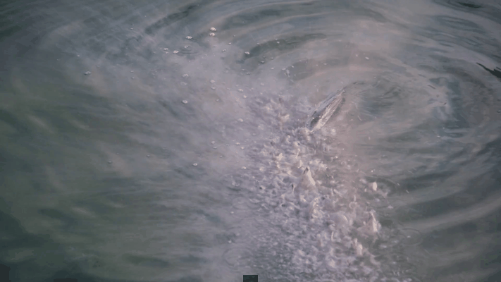 b3631117-b29b-442d-b91e-b18ff67af535.gif