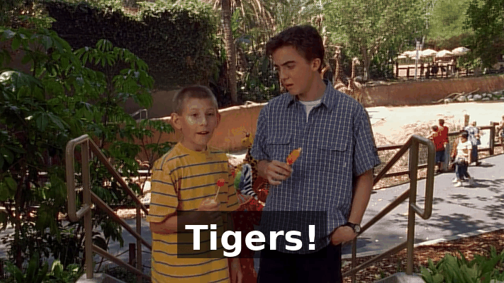 7288eee8-08df-4498-a382-6149b1b8487c.gif