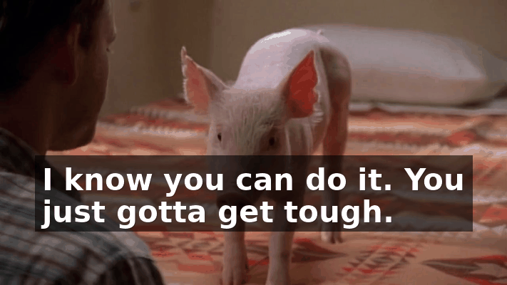ee5701ac-f7b6-4c1e-9a0f-dad137bc7f29.gif