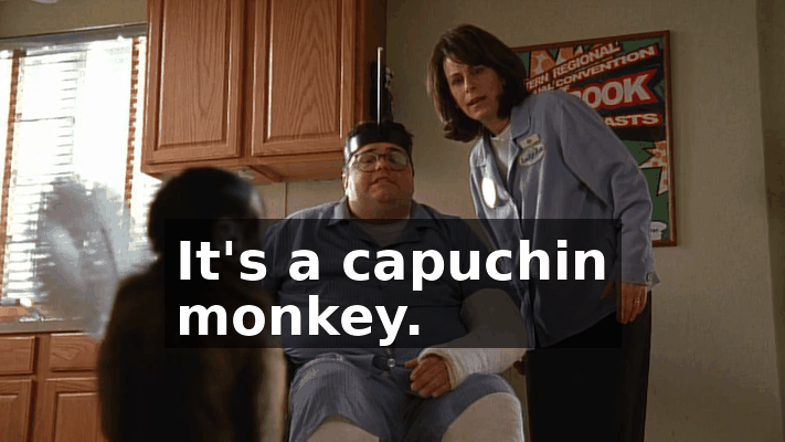 75ece9c7-0bb5-443c-8ece-5c296e578acd.gif