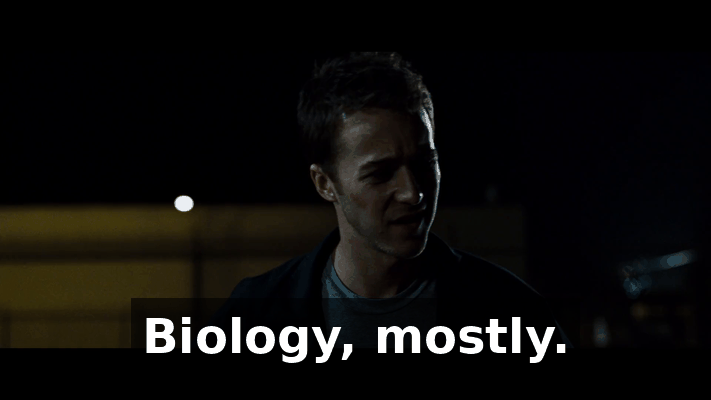f24dc68b-c112-464c-b5a2-e93f6cc75799.gif
