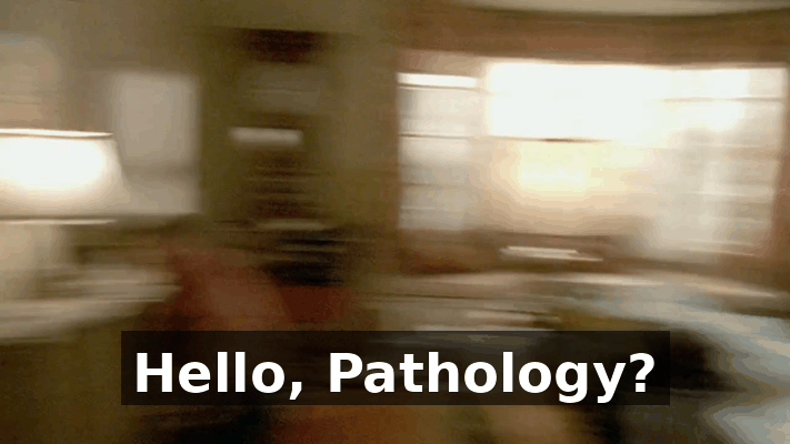 d278ed8a-f2f5-46a7-bf4f-8c11539e7961.gif