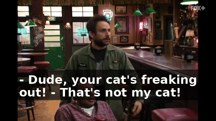f979a6da-f007-4604-98ed-df704bbbfc48.gif