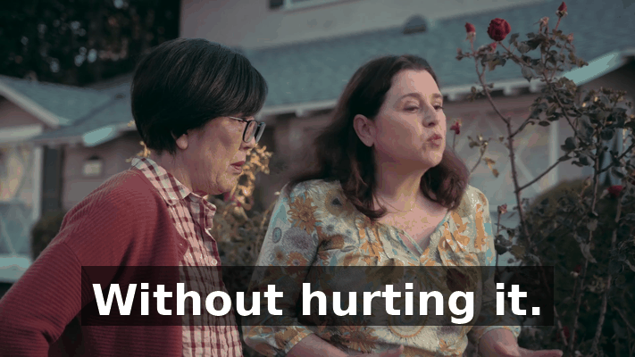 f8329c72-dbbc-4268-bc58-601a76af1ae3.gif