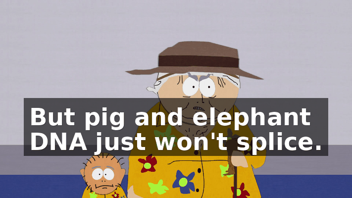 2b2c72a1-637c-4dff-9f6e-c2cb02af0de9.gif