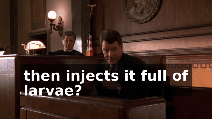 341cea3e-32b5-4f7a-839b-ad555723355e.gif