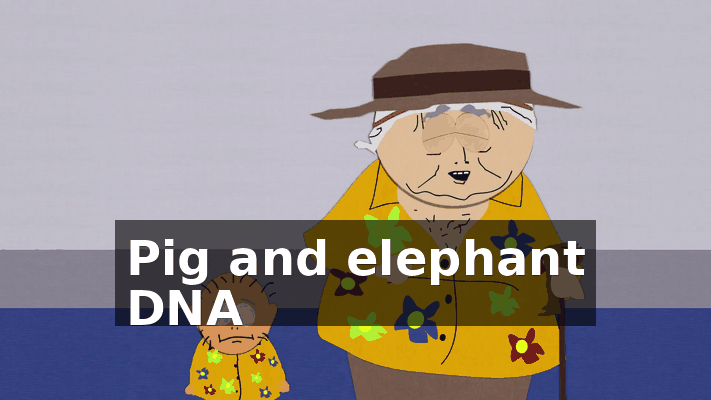 6d20c1f5-e150-4f4d-85b9-aee5a6327ad5.gif