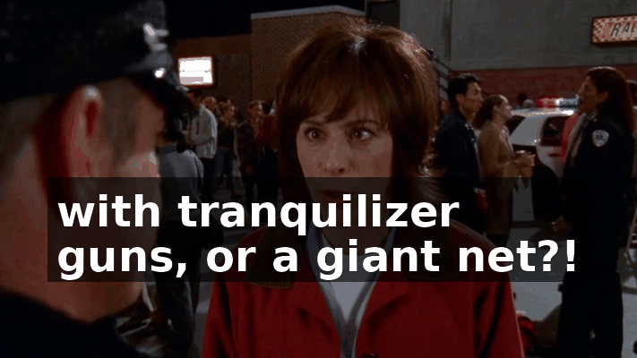 c7c2c67c-ba7c-4c00-aa9f-fb7ab1f34702.gif