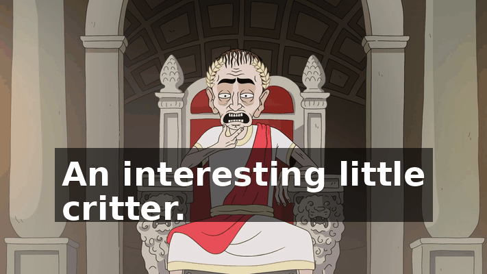 c38a1e48-5bdf-4185-ac7c-1ab023b2d8fb.gif
