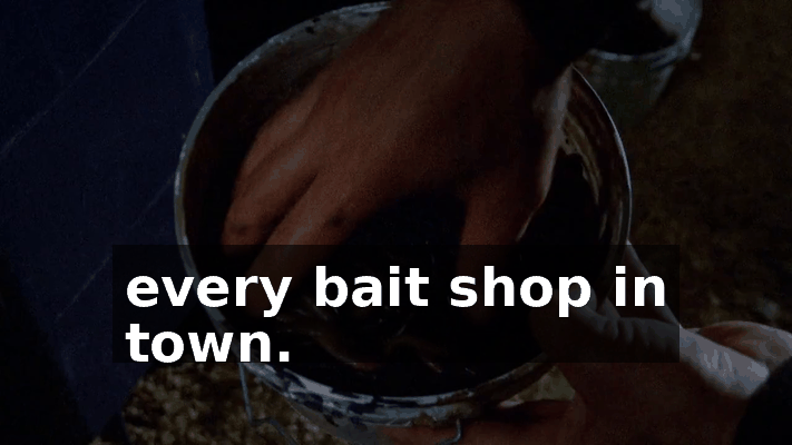 b3ea55be-9b22-47ad-bdd9-c4a14edae85f.gif