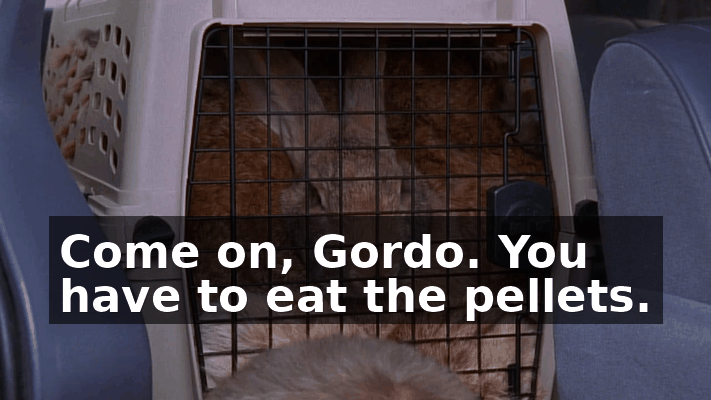9c78abae-7217-4fcd-80ba-a1240b738f34.gif