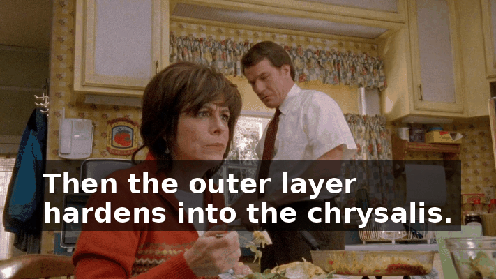 968610e6-a046-4af5-86b6-29e929d9ae2c.gif