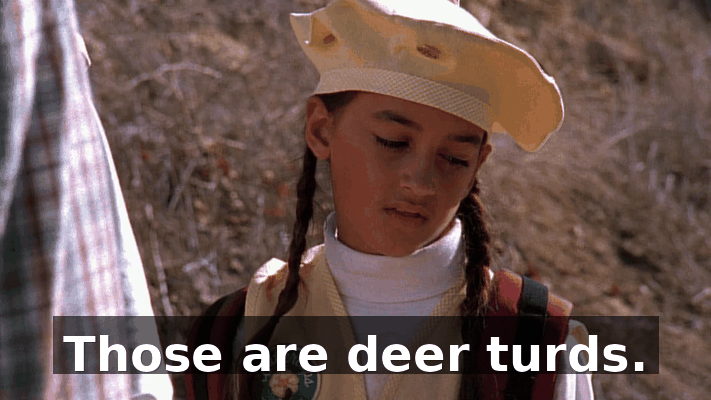 89f15462-67bc-43d7-bb88-d44acc00691a.gif