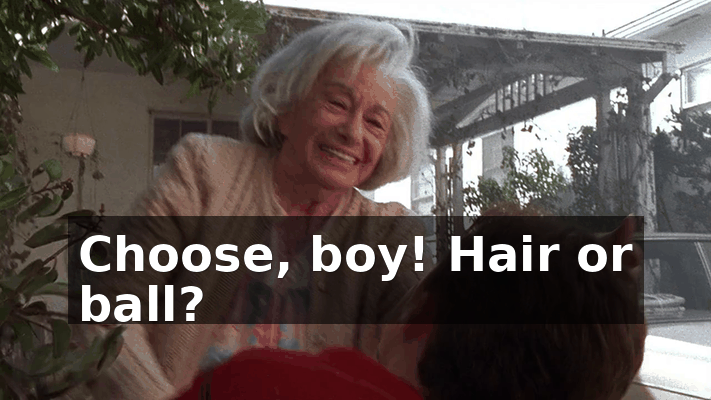 94351bd9-db73-4234-b420-032f11d08641.gif