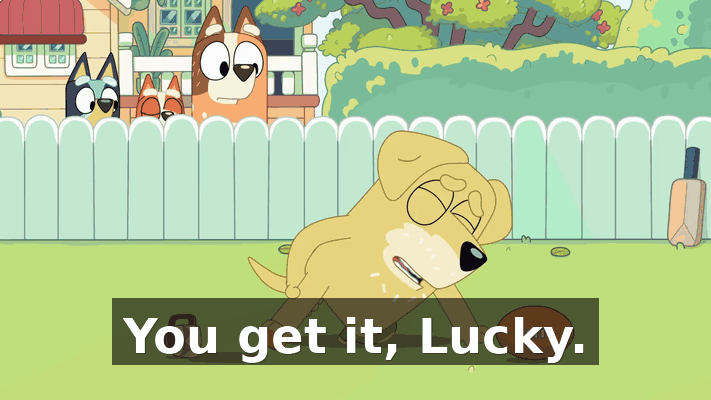 41886da2-587d-4bb8-92df-e8649432172b.gif