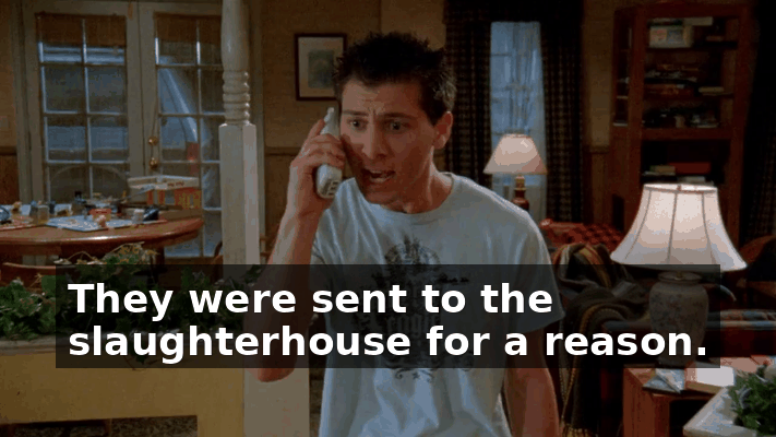 3ddd9835-e8c5-4017-a0ab-b2a85ab7ce0e.gif