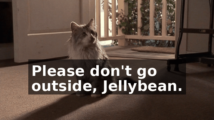 1479e810-16a6-48de-9a93-041387dc6744.gif