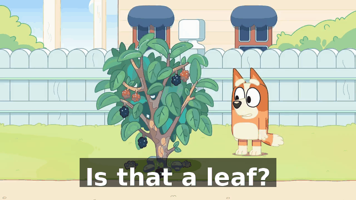 6f87979f-84cc-4a67-a5b6-05b59a66349c.gif