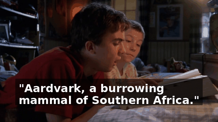 345336bd-9cac-4902-b098-6893963b3dce.gif