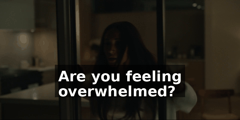 25ac8244-e4cf-49bb-9775-2b27c71086ae.gif