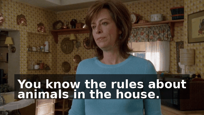 c3b72fb9-7b63-4e73-9c2c-595800604060.gif