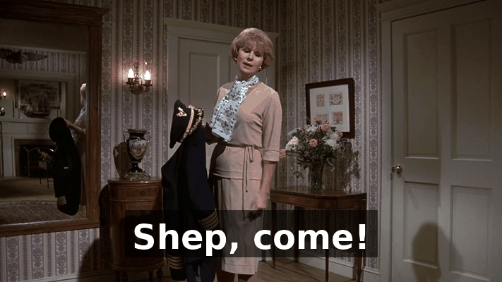 1c106130-2665-4718-8c7a-016b8821f8f9.gif