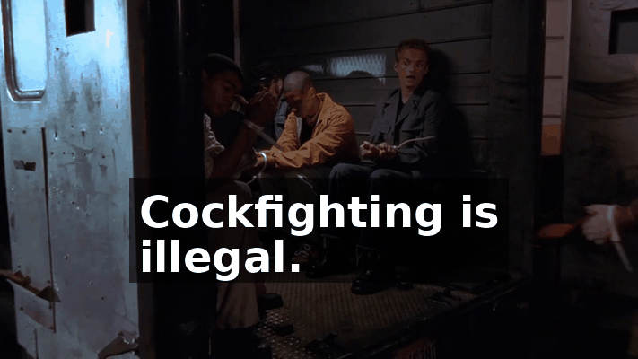 e11507ec-b338-40ea-9378-4bcaad8a5ea4.gif