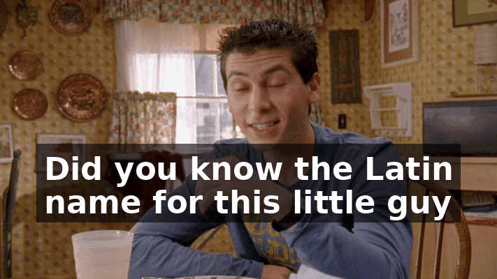 c57ed22a-d709-45ec-8691-5d2d67edb662.gif