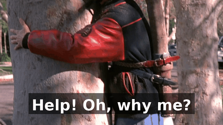 85d2450a-8c70-4e50-8e73-6554516374f3.gif