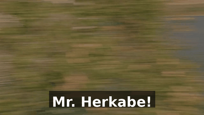 65a79da4-f2c3-40bd-946e-4224a9479022.gif