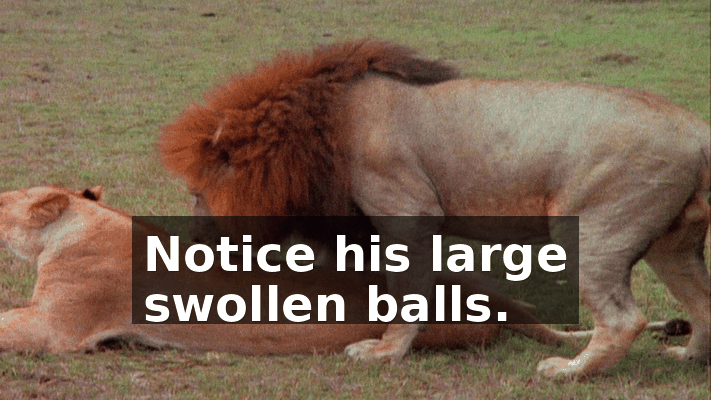 964e7ad5-b9d3-4734-9029-20508ae7d87d.gif
