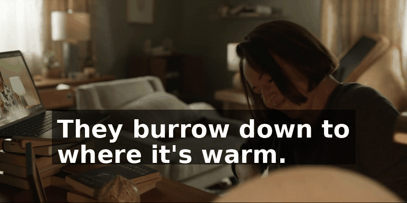 0894f2e8-1fa2-474b-beee-c5f86923de5b.gif