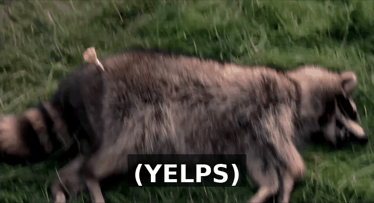d4b71f53-d1cd-42ba-b1c1-4a7a429cd8d4.gif