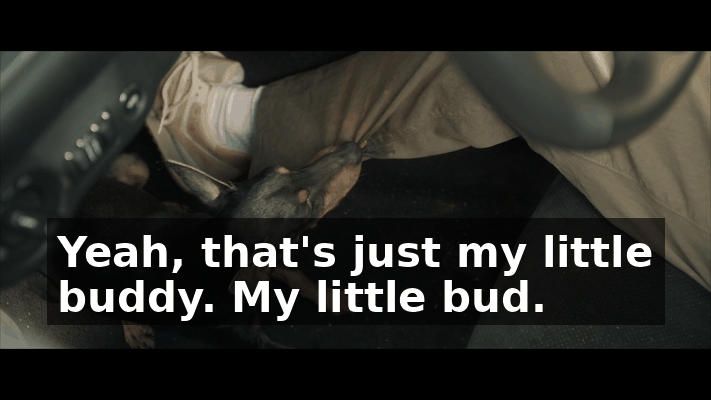 8d400d1d-fcd7-4e9a-a42f-d4876bdb3b69.gif