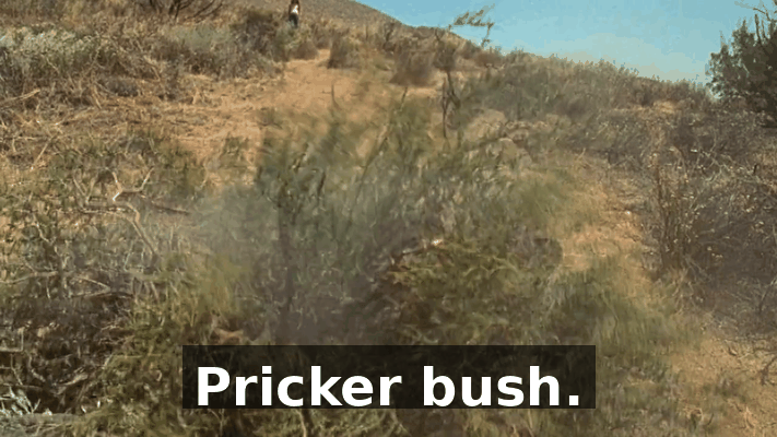 9f20490d-3944-4702-9f6e-cad8185a98c3.gif