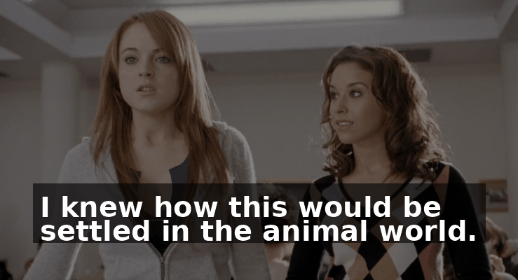0f67204d-4337-4243-b3c3-50025cfa4aa8.gif