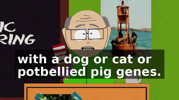 6903e061-d74a-4ccc-881e-511c401f696e.gif