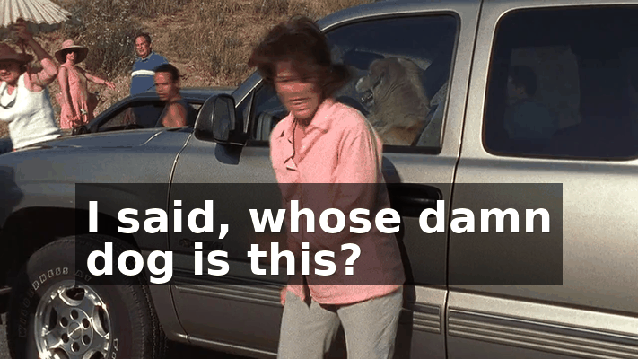 c1a798e0-a25e-4786-be2a-ace768ba8477.gif