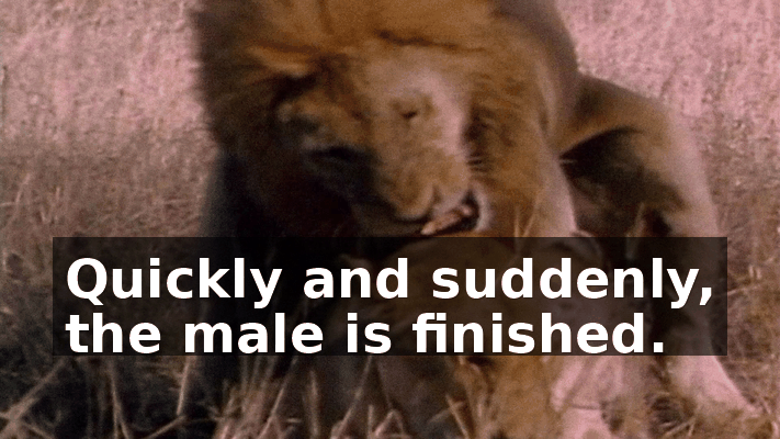 3cde5de2-c0aa-4d70-87e8-3e7330f19848.gif