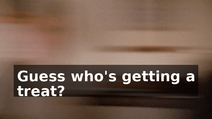 80235d29-d30d-4508-a727-cb9108a84c94.gif