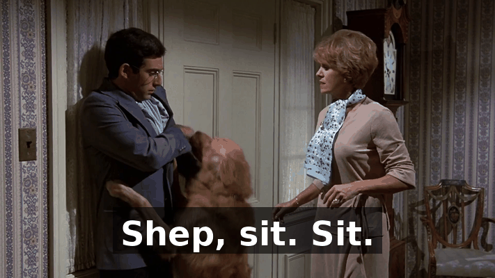 1f514224-1568-4ea8-94c1-4180b95f6872.gif