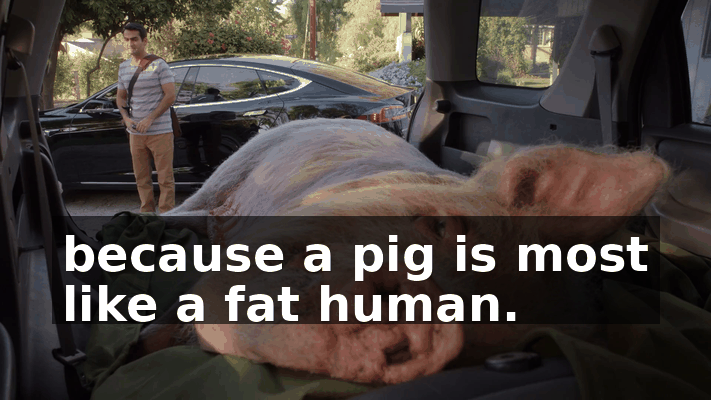 f01be921-fc68-4e6e-9d69-573a7139ea5e.gif