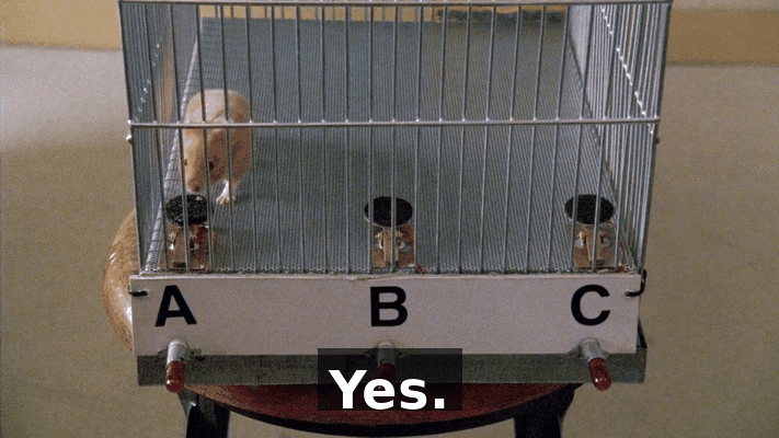 cc7dad0a-c0a1-45a1-8f66-cb46d0dcd7fd.gif