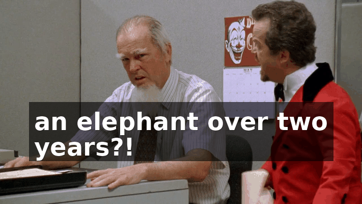 fb12a543-7408-4679-bc02-ff4bef946507.gif